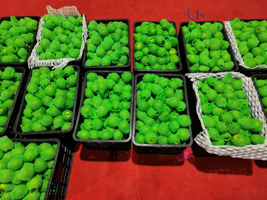 蜜梨青枣包装与电商发货场景