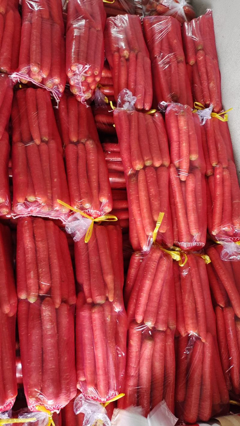 [秤杆红萝卜批发]陕西安康汉滨区胡萝卜 2.50元/斤 精品>5 _ 一亩田