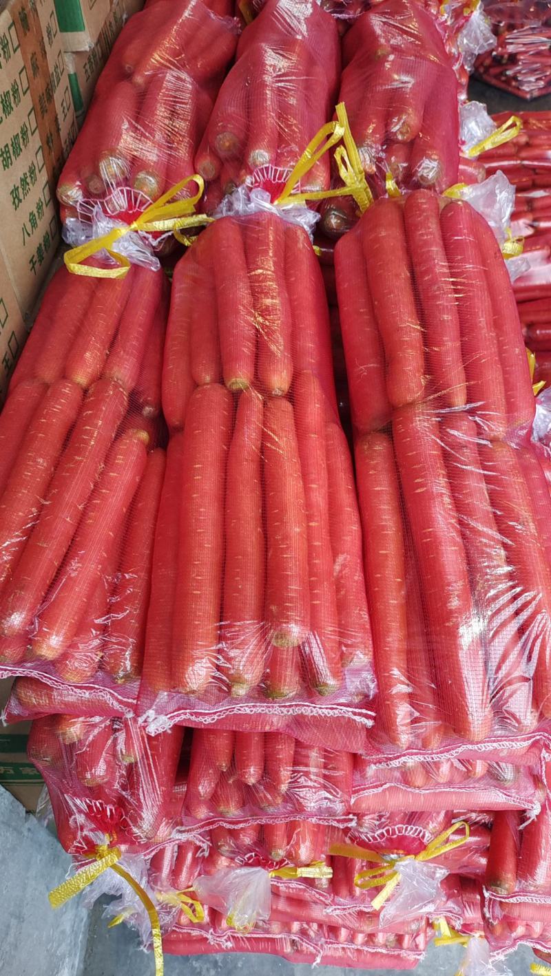 [秤杆红萝卜批发]陕西安康汉滨区胡萝卜 2.50元/斤 精品>5 _ 一亩田