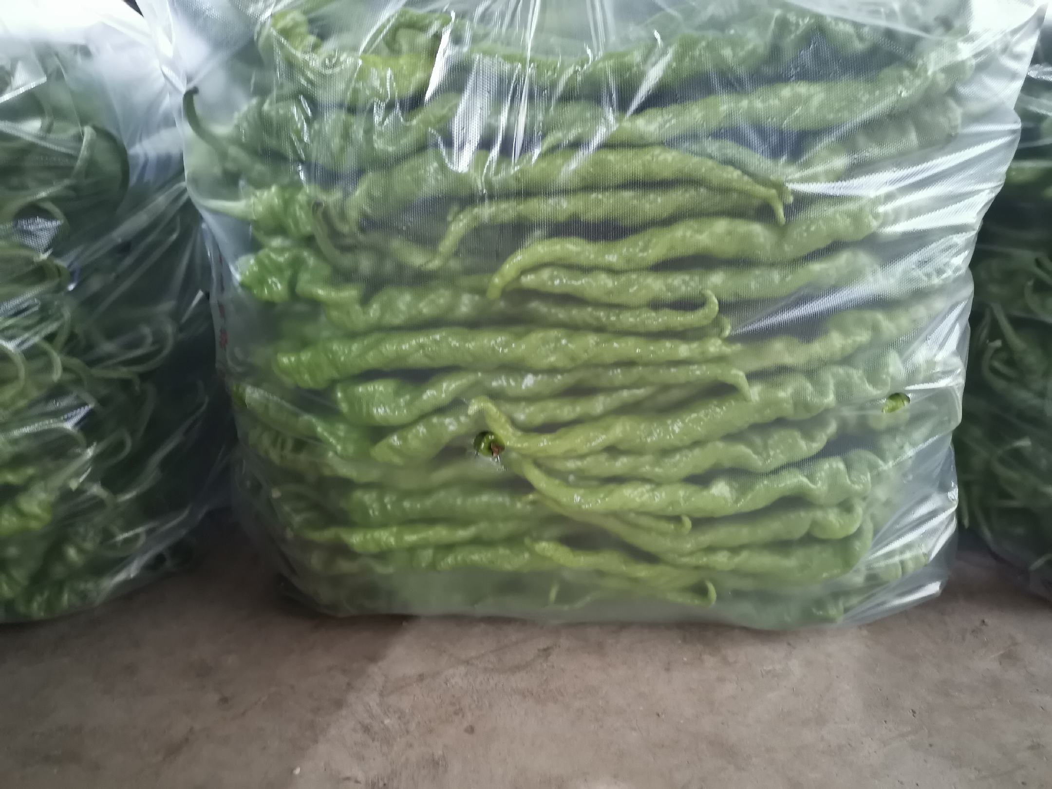 海螺与柿子的食材对比