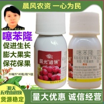 国光道领噻苯隆葡萄调节生长促果实生长保花保果植物生长调