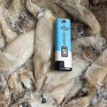 新鲜活冻大笔管小鱿鱼海兔灯光鱿鱼油管鱿鱼笔管海兔笔管鱼