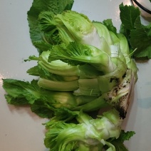 儿菜