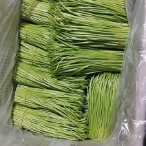 芦蒿批发