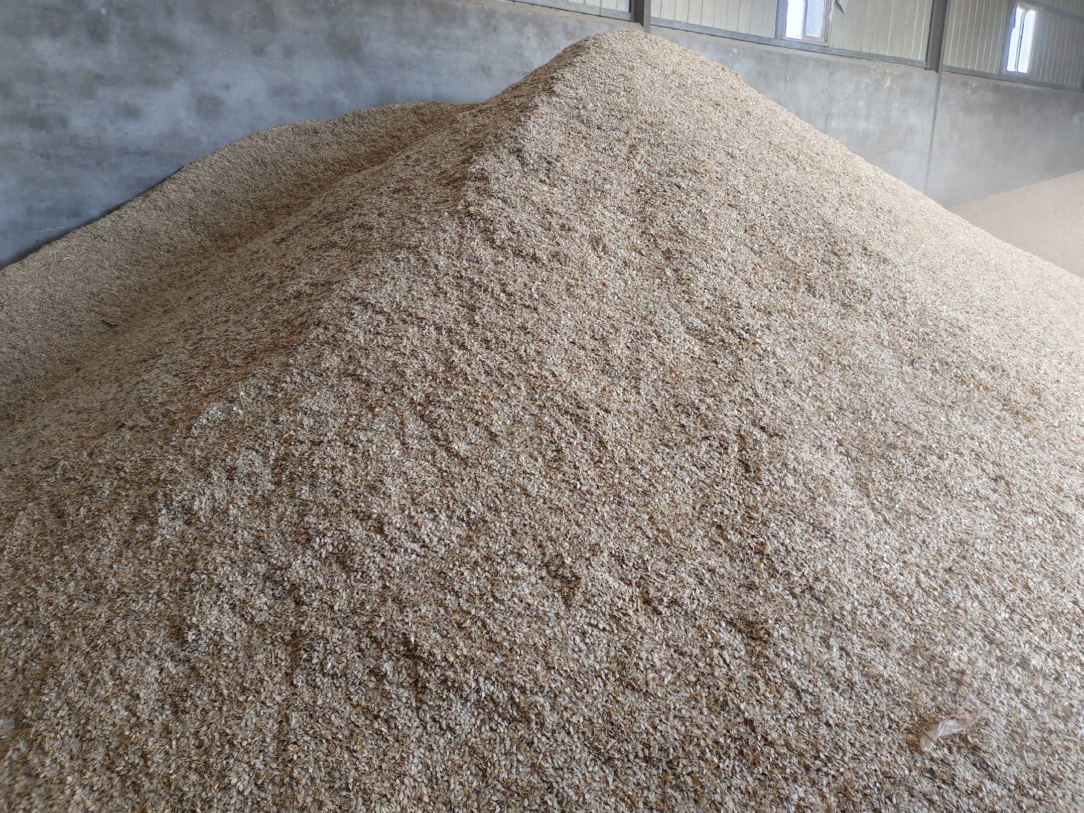 农业科技展览中展示的智能小麦种植系统,大屏幕上显示着实时的土壤和气候数据 未来农业科技展示