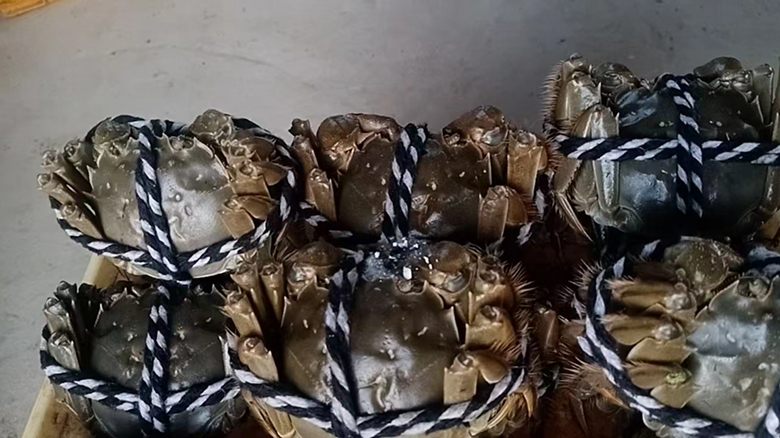 市场上新鲜捕捞的远海梭子蟹正在被挑选 远海梭子蟹在市场中被挑选