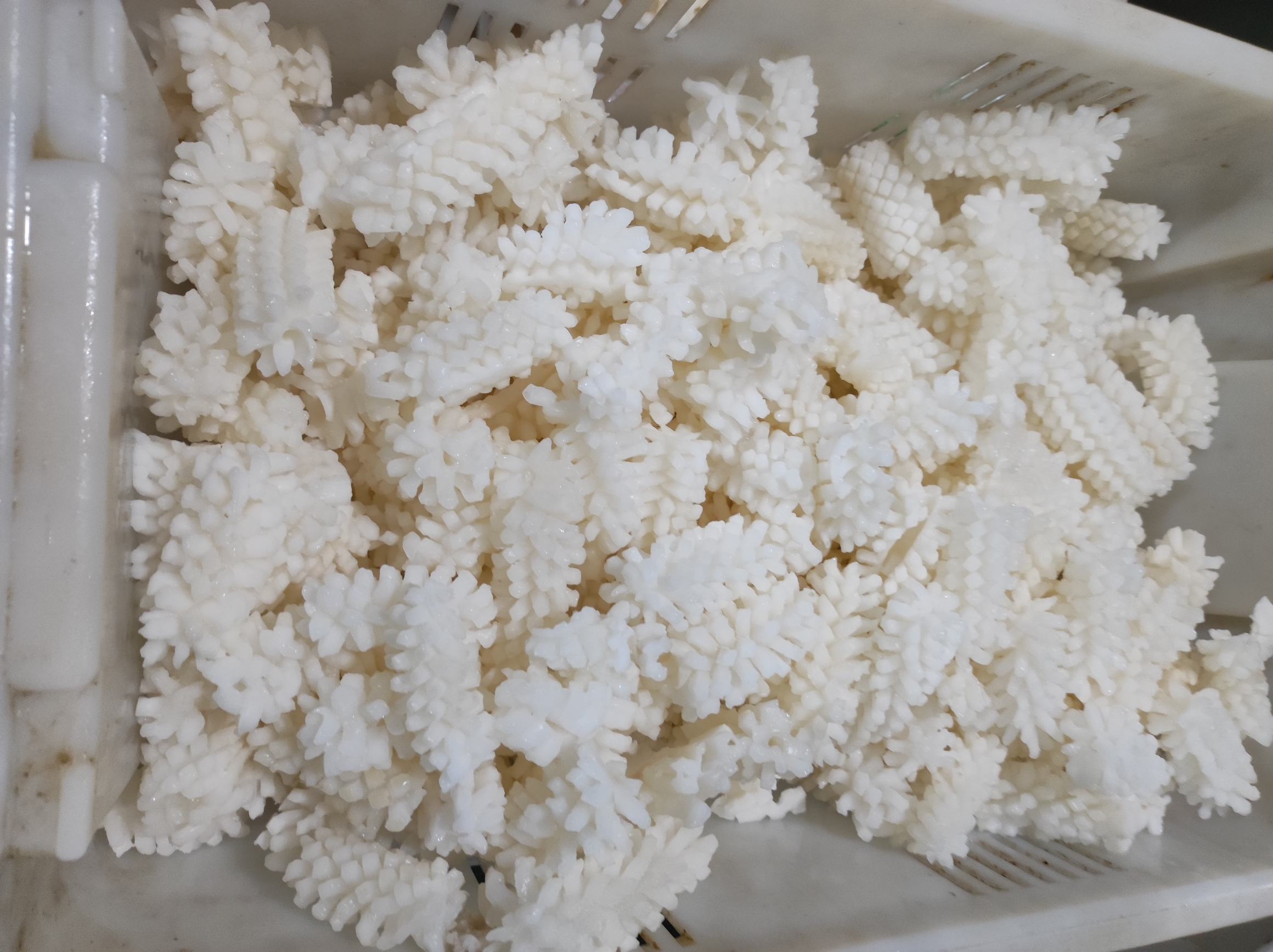 家庭厨房中处理花蛤的场景：清洗、盐水浸泡、检查壳体闭合度