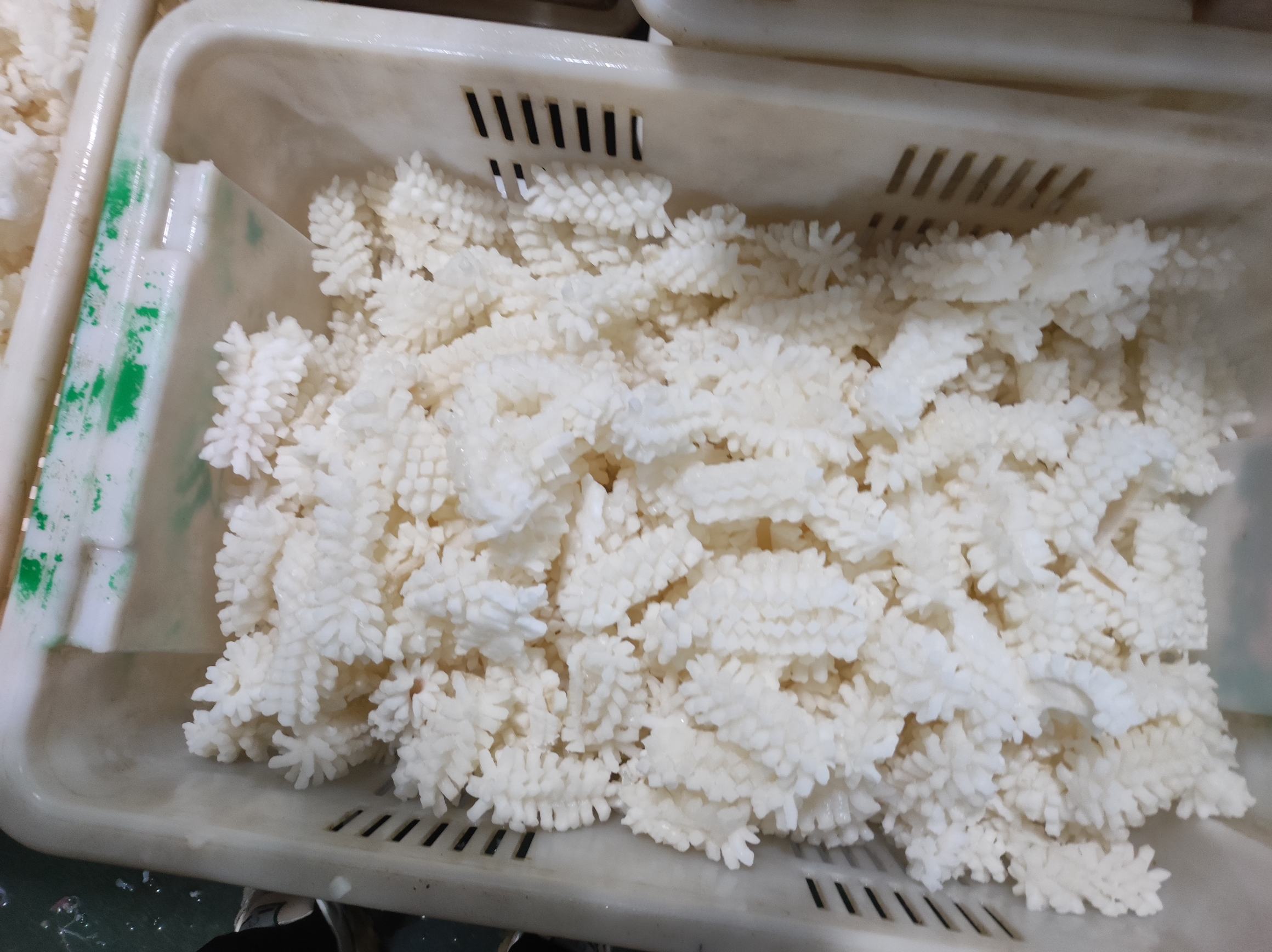 新鲜的花蛤摆放在竹篮中,壳体呈灰白色带斑点,表面光滑有光泽 花蛤实物图
