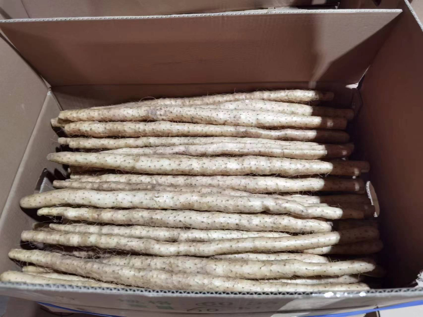 透明玻璃保鲜盒中整齐码放着乳白色的山药片,浸泡在清澈的水中,盒盖密封完好,背景为家用冰箱冷藏室内景,温度显示为4℃,旁边放置计时器显示‘已存放18小时’ 冷藏保存的切好山药实物图