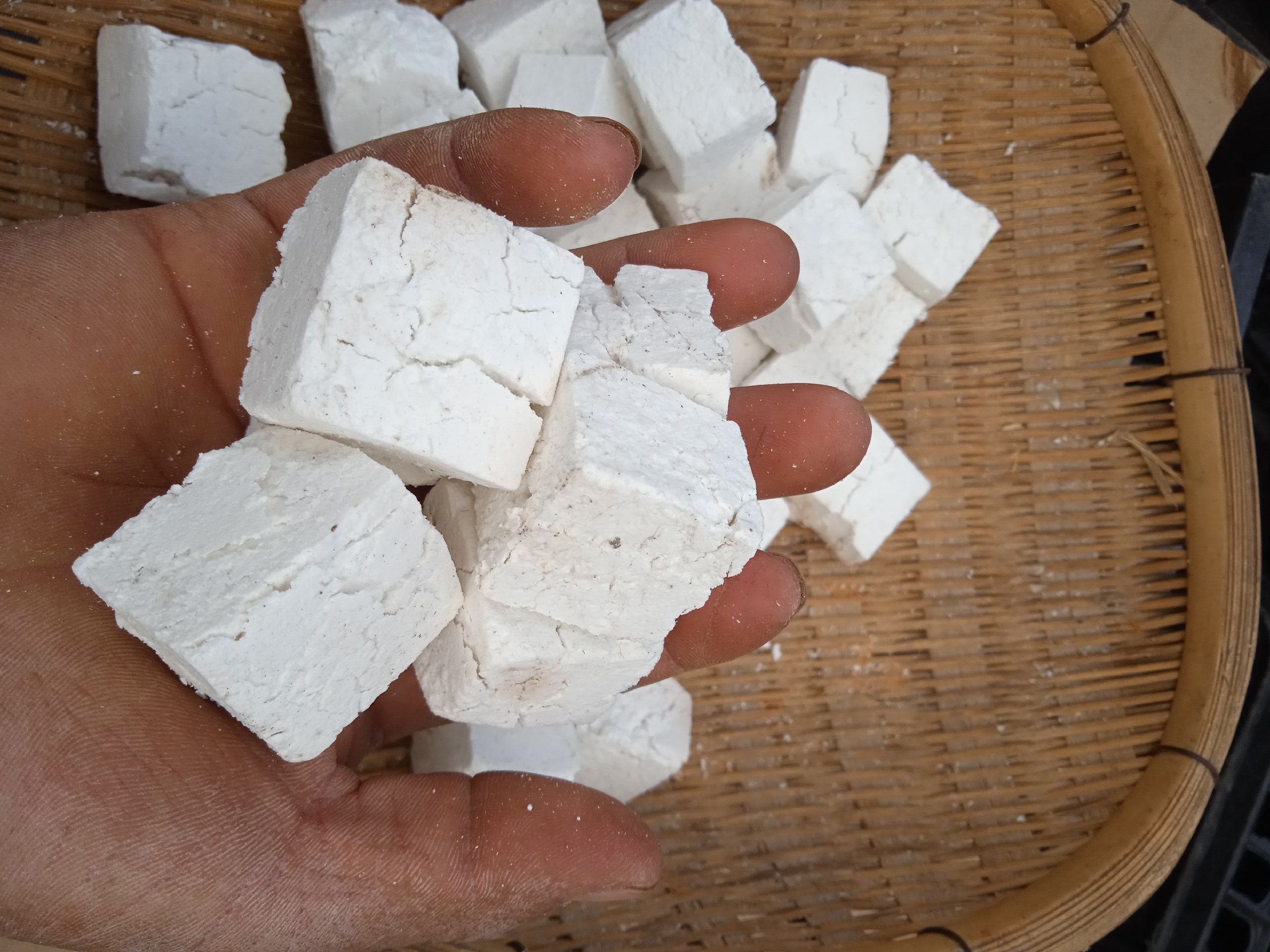 白茯苓菌核切片