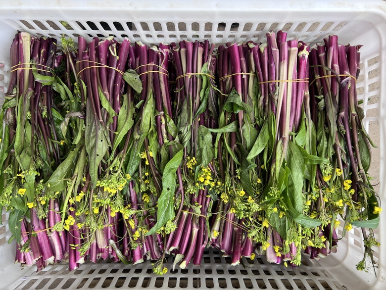 超市货架上整齐摆放的新鲜红菜苔