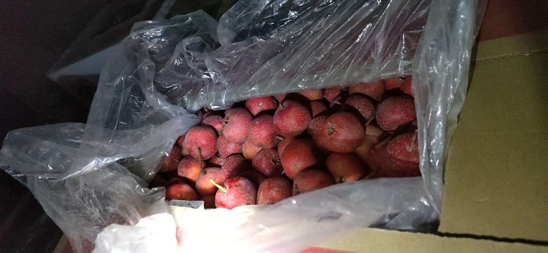 甜红子山楂干成品展示图