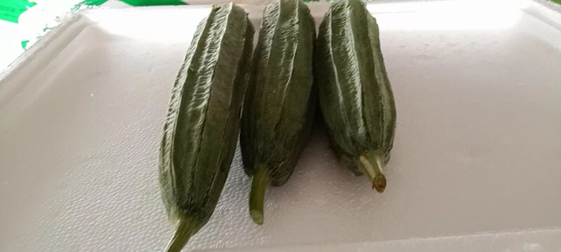 老丝瓜在中药中的应用