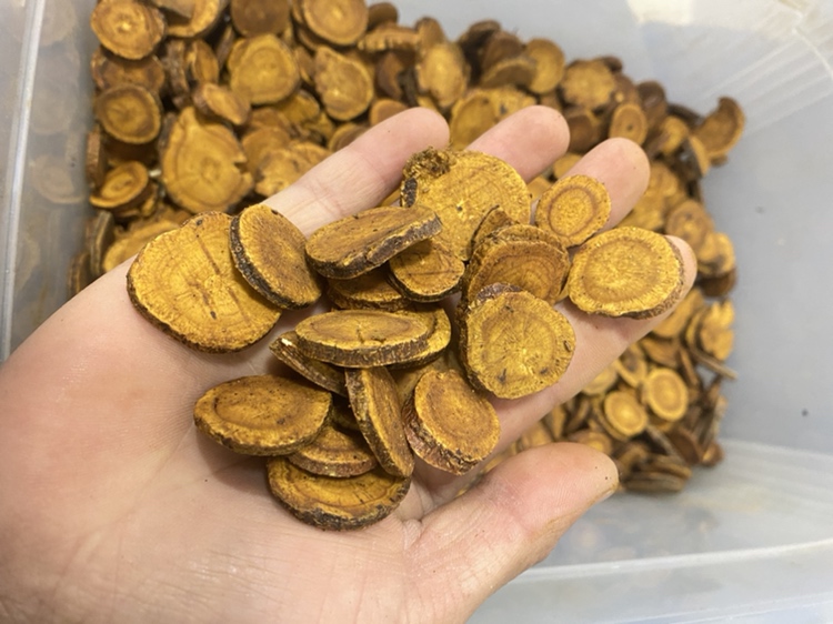 中医师在诊室指导患者辨识甘草金桔：手持玻璃皿盛放3颗甘草金桔，指向墙面《中药性味归经图谱》中‘甘草’与‘金桔’条目，图谱旁标注‘微温，归肺、脾、胃经’；桌面摊开《中国药典》甘草项页面，手指停在‘炙甘草’功效描述处