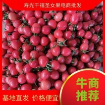 千禧圣女果，产地直发全国，量大便宜，电商平台，批发市场。