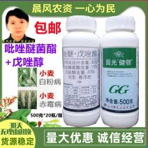 国光健领吡唑醚菌酯戊唑醇黑斑病锈病小麦赤霉病白粉病农药杀