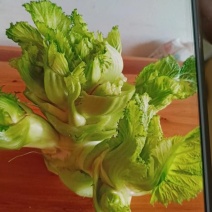 儿菜