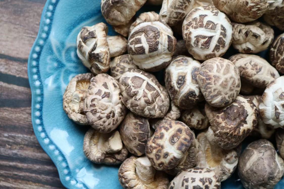 展示一个装有羽衣甘蓝泥、奇亚籽、水果和坚果的彩色早餐碗,背景为明亮厨房环境 羽衣甘蓝奇亚籽早餐碗