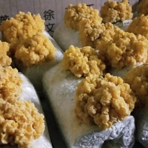 金耳