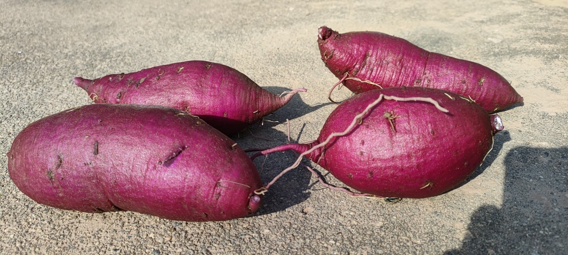 市场中的紫色薯类摊位