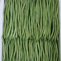 云南，精品豆王