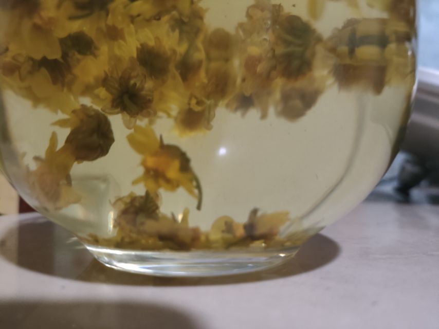 野菊花茶冲泡图