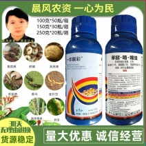 一农靓彩12%苯醚·咯·噻虫蚜虫小麦拌种剂种衣剂杀虫剂