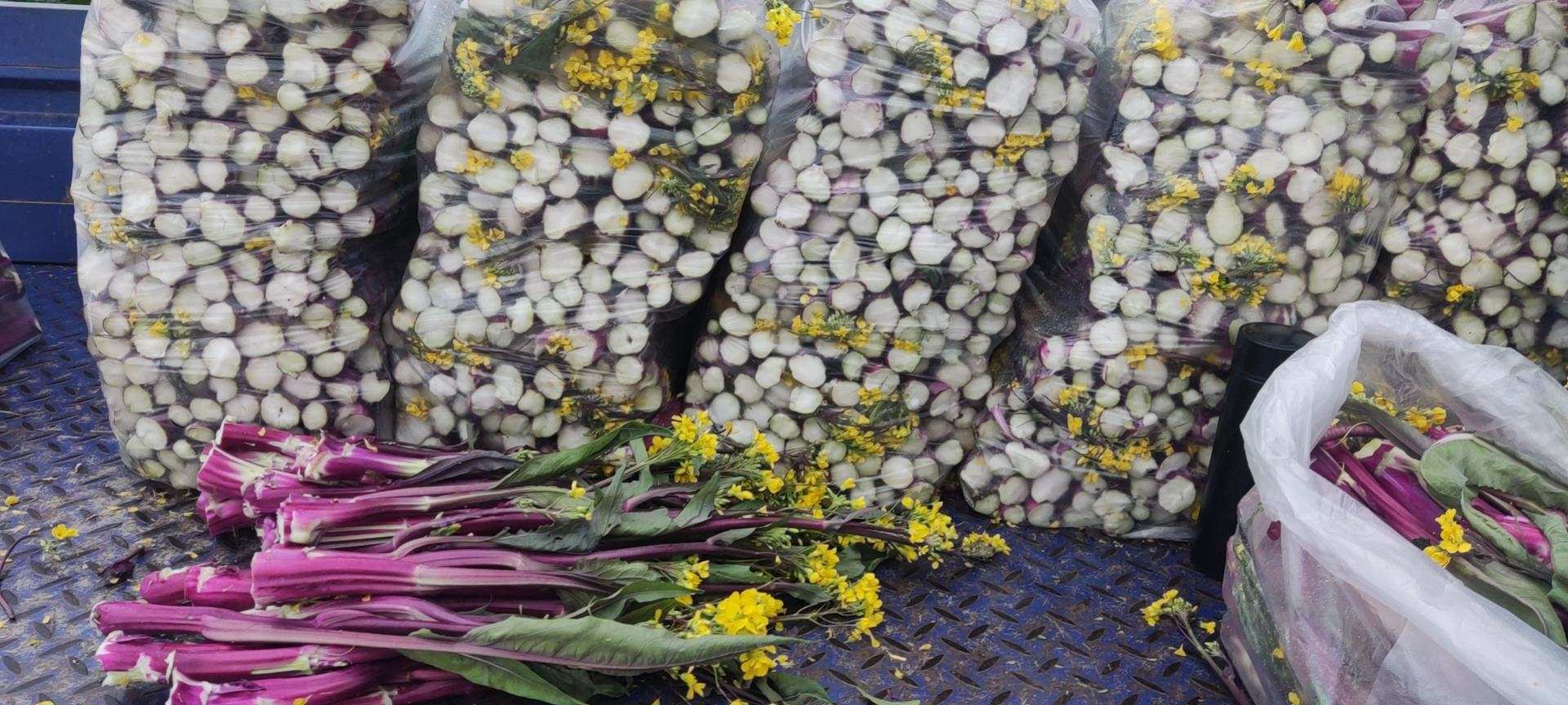 归元寺红菜苔品牌包装展示图