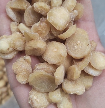 [天麻批发]半夏片,水半夏片,旱半夏片,姜旱半夏片,各种规格价格8.