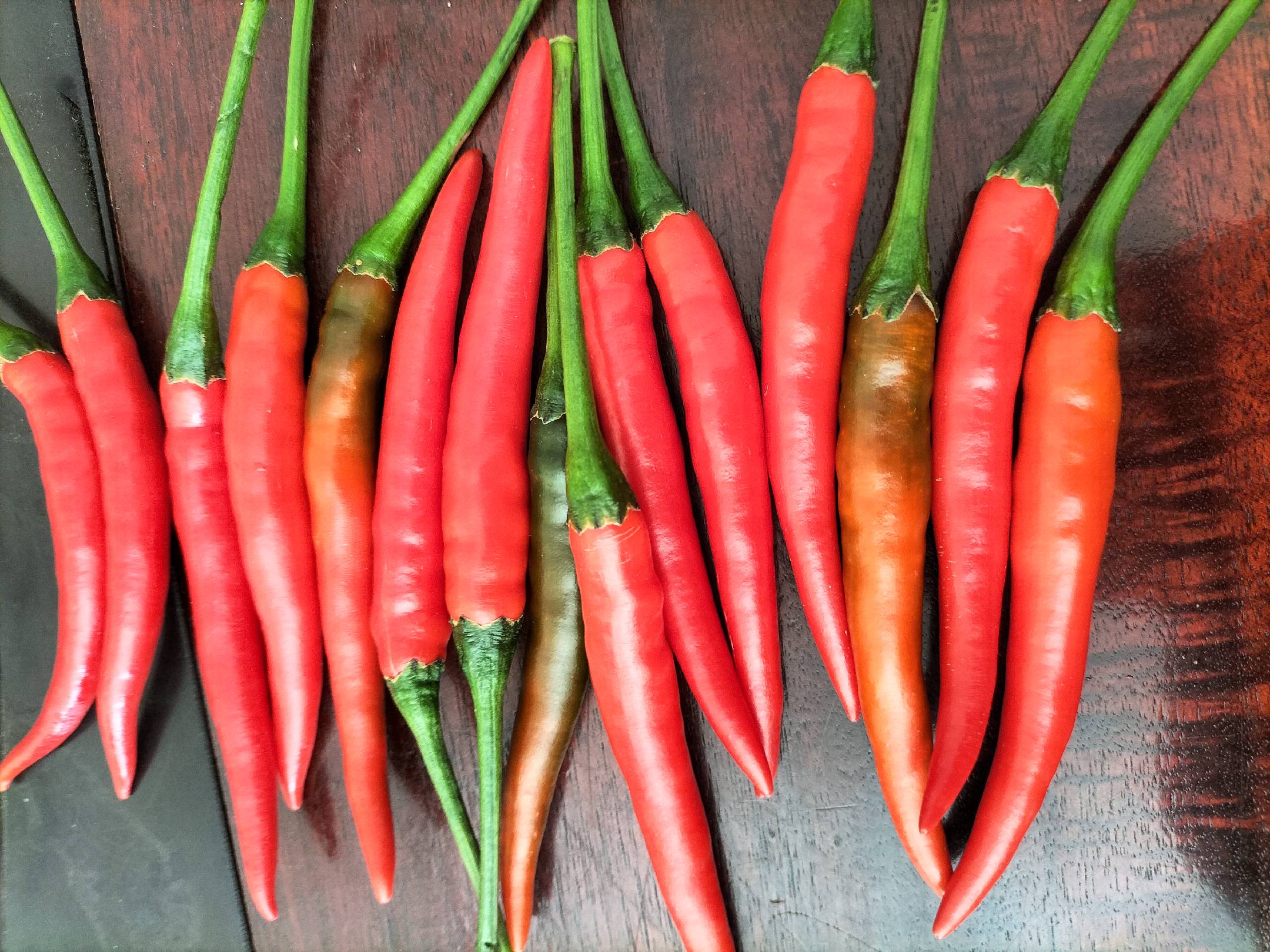 一盘新鲜红亮的小米辣与一盘晒好的深红色干辣椒并列摆放,背景为农家晾晒场,阳光充足,辣椒整齐铺在竹席上,展示从鲜椒到干椒的变化过程 新鲜小米辣与干辣椒对比图