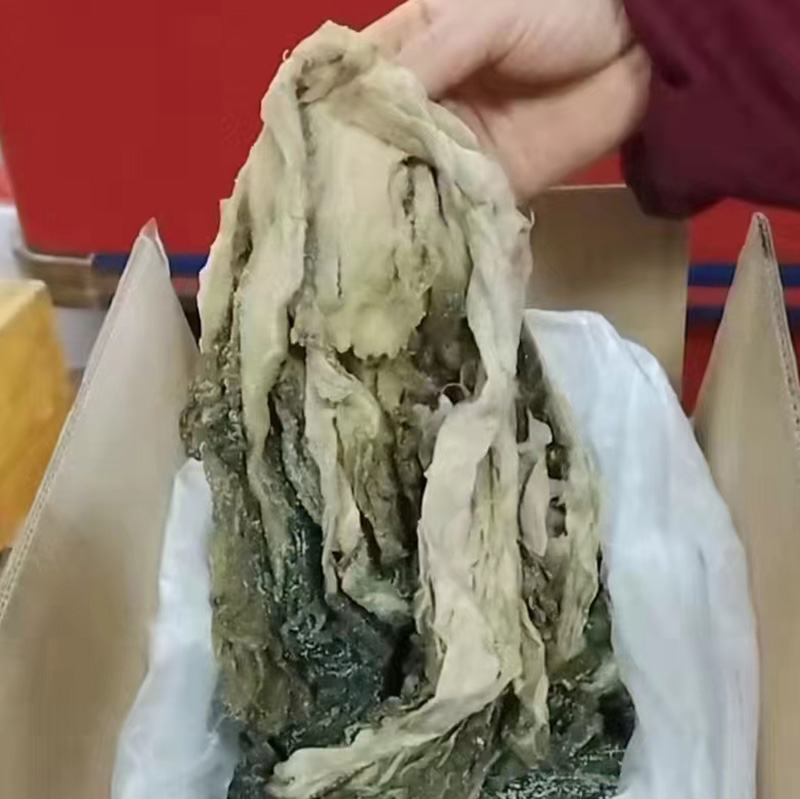 芝麻菜清洗与浸泡