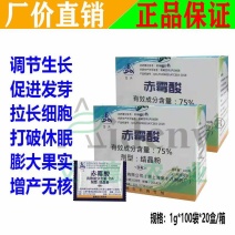 上海同瑞三六75%赤霉酸赤粉剂催芽浸种保花保果生长调节剂