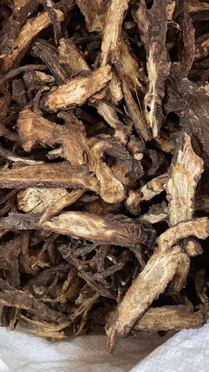 中药材羌活,蚕羌,竹节羌,大头羌,狗引子花,曲药