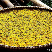 野菊花