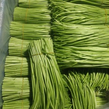 精品芦蒿，新鲜嫩