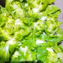儿菜
