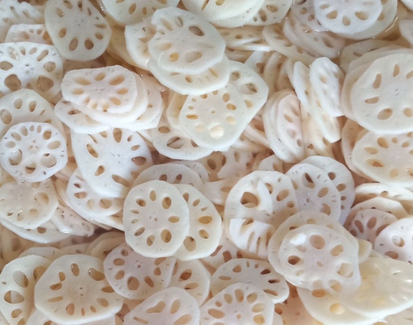 焯藕的选材与切片处理