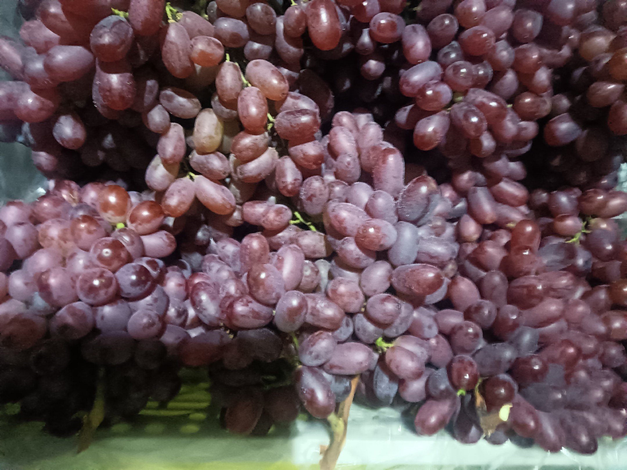 多品种进口红提并列展示,包括Crimson Seedless、Autumn King、Flame Seedless和Scarlet Royal,分别标注名称,突出果粒大小、颜色和果穗形态差异 进口红提品种对比图