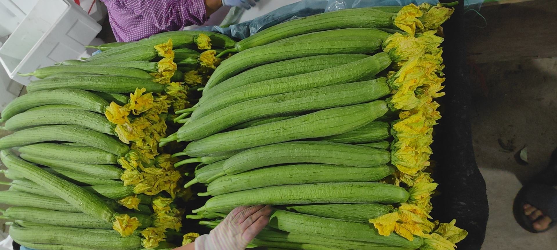 新鲜翠绿的丝瓜整齐摆放在竹编菜篮中，背景为清晨农贸市场，阳光柔和，丝瓜表面带有细小水珠，显得非常新鲜