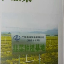 种植基地韭菜直批，价格便宜