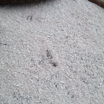 纯藕粉大量上市，需要联系