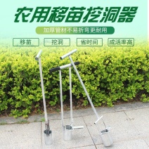 镐