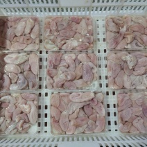 石斑鱼肚鱼肚