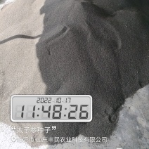 太子参种子