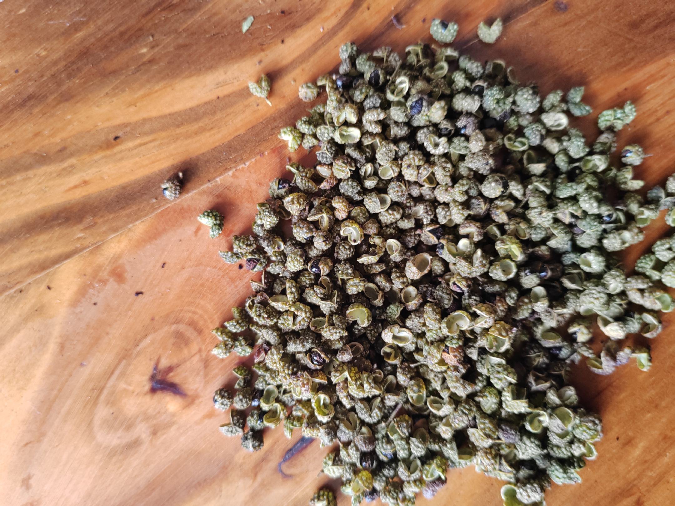 龙椒干制品特写展示