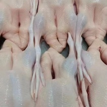 白条鸭