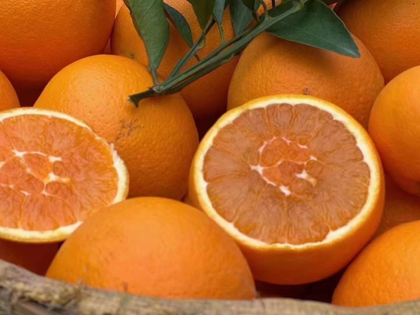 纽荷尔脐橙特写