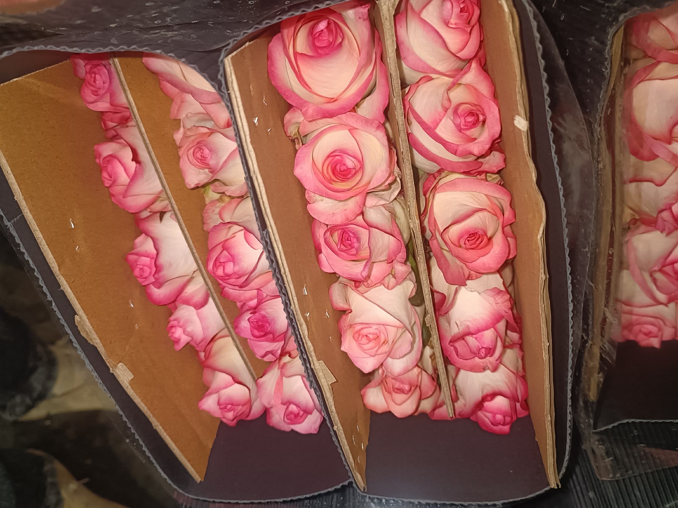 展示不同规格的献桃花样礼盒、果汁瓶装产品以及果干包装 献桃花样礼盒与深加工产品展示图