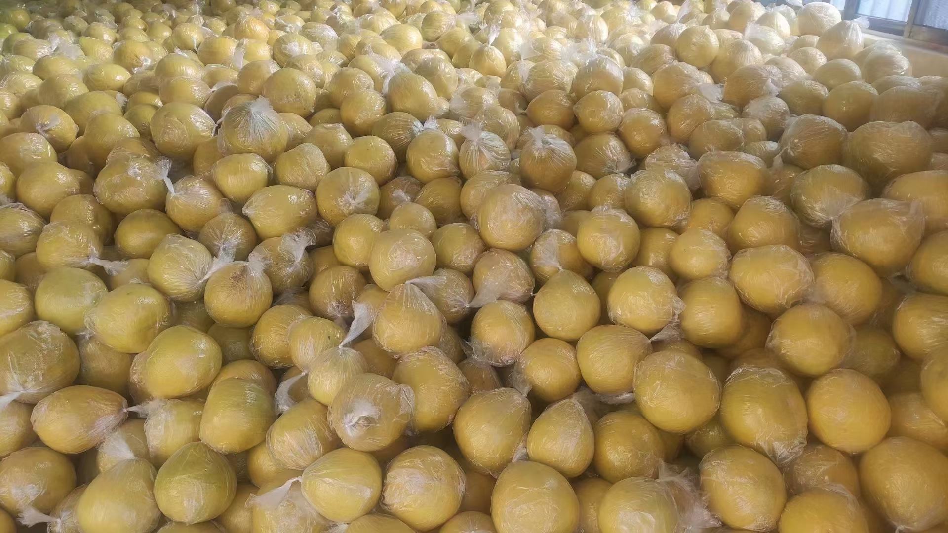 沙田柚产品包装展示