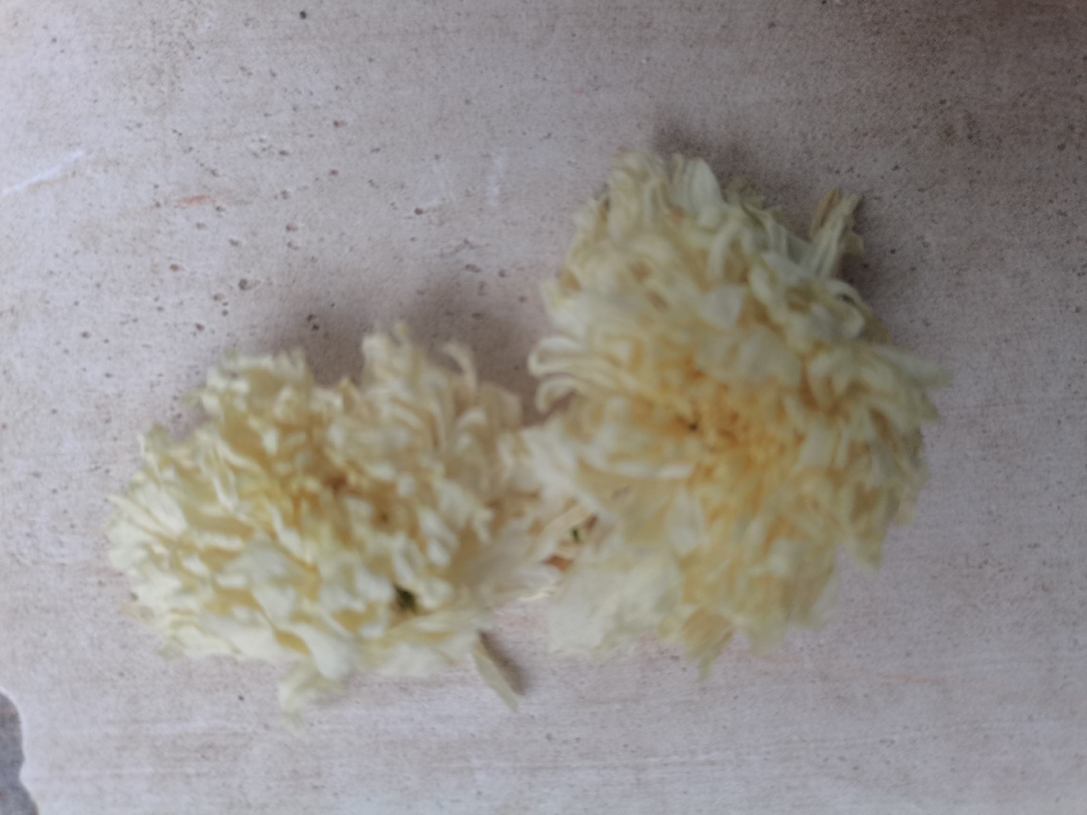 金丝皇菊干花与泡开后的对比图